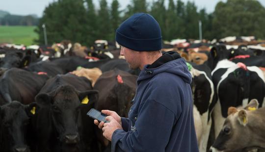LIC to increase its investment in UK agribusiness