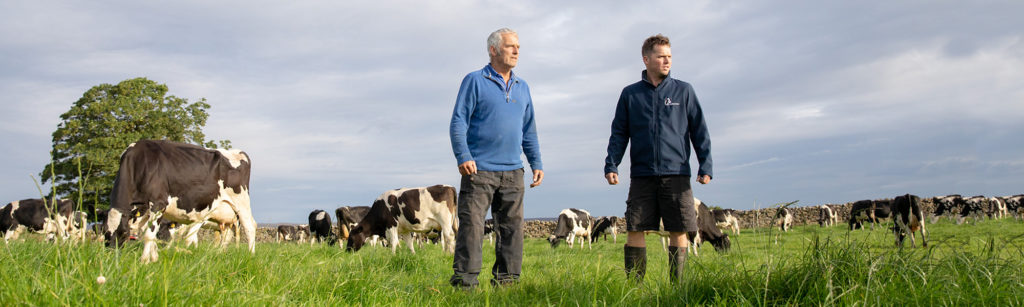 Castiles farm UK