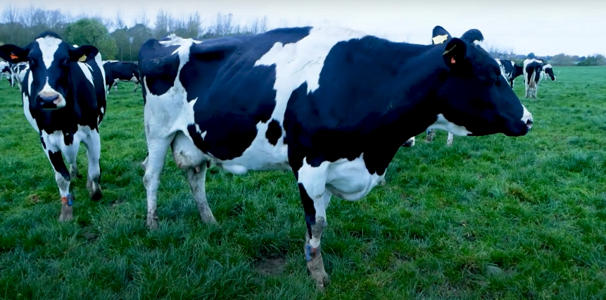 UK Walford monitor farm