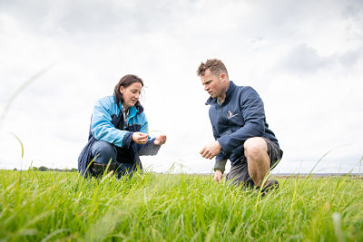 Good grazing management is a vital skill