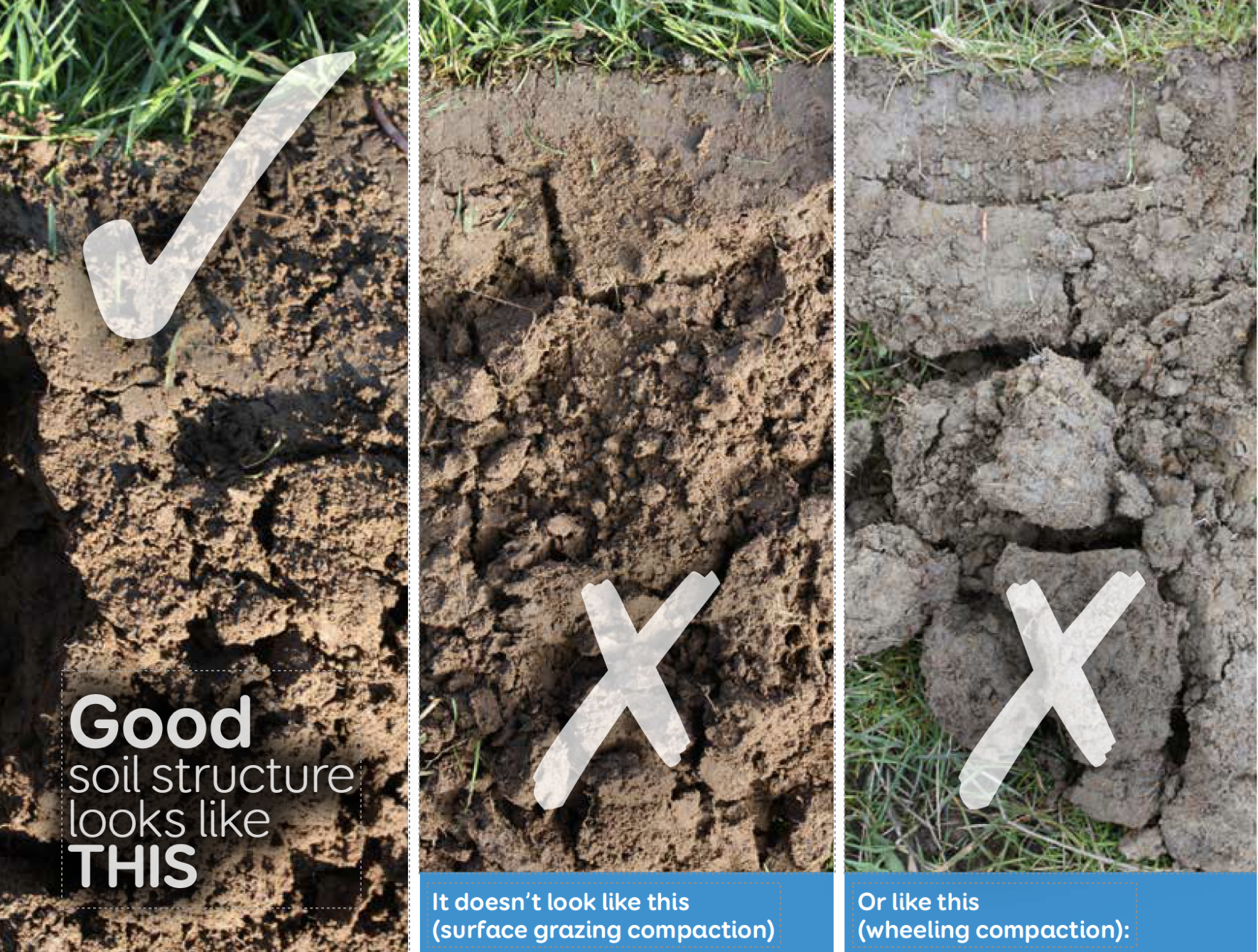 Good soil looks like this
