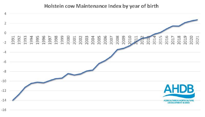 Holstein cow maintenance index by year of birth
