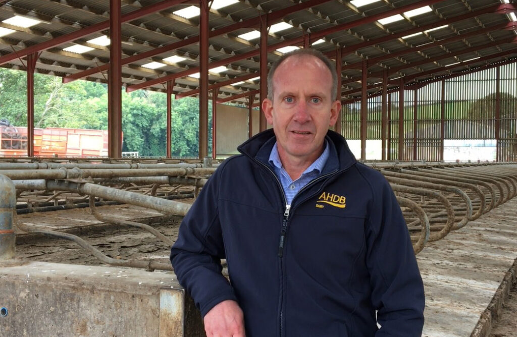 Marco believes breeding indexes can help farmers breed the right cow