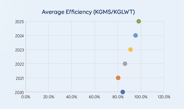 Average efficiency predictions to 2025