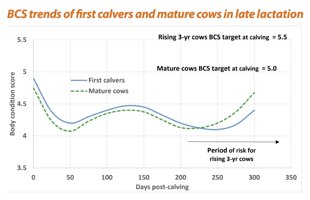 Body Condition Score trends_DairyNZ Incalf book 2018