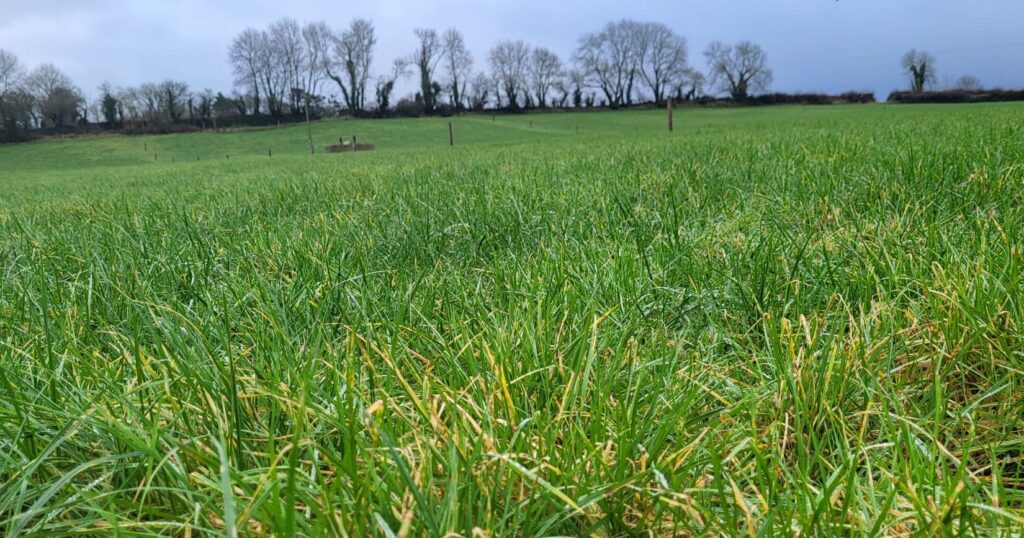 LIC's Pasture to Profit farm consultants give a winter farm update
